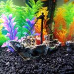 Piratskip Råtten Båt Liten Nettbåt Akvarielandskap Fishtank Glassylinder Scene