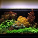 Piratskip Råtten Båt Liten Nettbåt Akvarielandskap Fishtank Glassylinder Scene