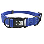 PVC-materiale Vanntett Justerbar Dobbel Sløyfe Hundehalsbånd, Passer for Aggressive Hunder, Størrelse: S, Halsbånd Størrelse: 24-36 cm (Blå)