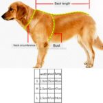 Reflekterende pustevennlig hundehalsbånd i polyester med trekkline, Størrelse: M, 2,5*42*47 cm (Blå)