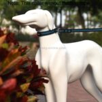 Reflekterende pustevennlig hundehalsbånd i polyester med trekkline, Størrelse: M, 2,5*42*47 cm (Blå)