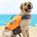 Reflekterende trykt hundevest, størrelse: S (oransje)