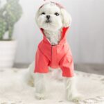 Regnjakke til hund med hette, vanntett, heldekkende klær for små hunder, størrelse: M (Rosa)