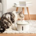 Smart Kattedispenser med Stille Automatisk Sirkulasjon, Stikkontakt Spesifikasjoner: EU Stikk