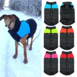 Vanntett hundevest for valper Chihuahua, varm vinterjakke, størrelse: S (Grønn)