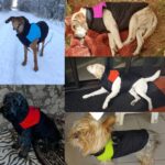 Vanntett hundevest for valper Chihuahua, varm vinterjakke, størrelse: S (Grønn)